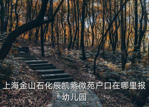 上海市金山區(qū)石化臨潮一村，上海市金山區(qū)石化 七村 九村 臨潮三村是否會(huì)拆遷