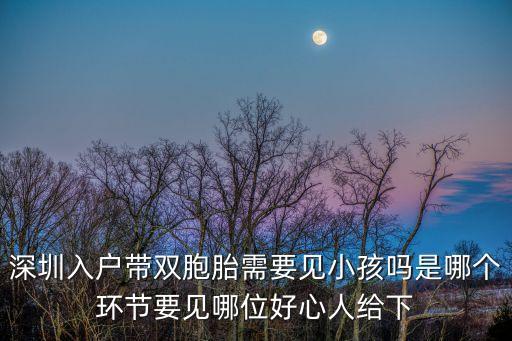 深圳入戶帶雙胞胎需要見小孩嗎是哪個環節要見哪位好心人給下