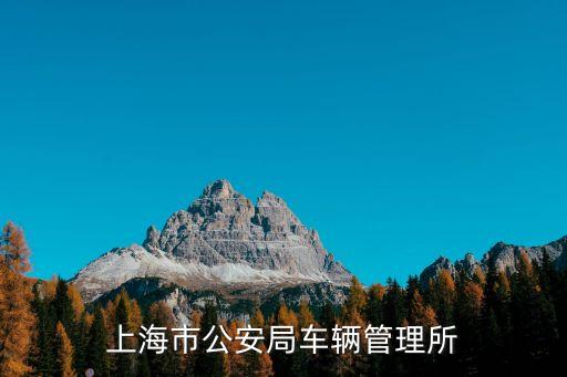 上海市公安局車輛管理所
