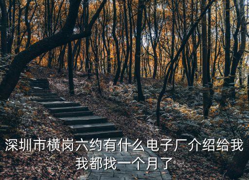 深圳市橫崗六約有什么電子廠介紹給我我都找一個月了