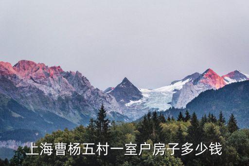上海曹楊五村一室戶房子多少錢