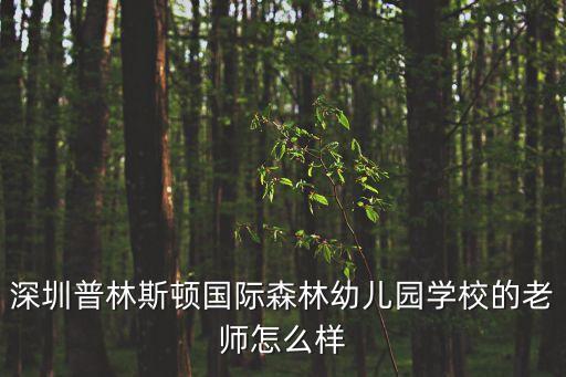 深圳普林斯頓國際森林幼兒園學校的老師怎么樣