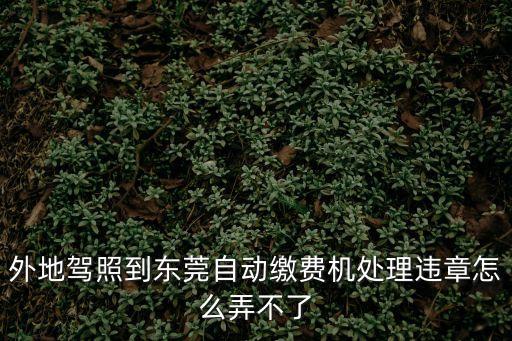 東莞交警自助繳費流程沒有，東莞的車輛違章怎么繳納啊手續(xù)怎么樣