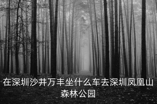 在深圳沙井萬豐坐什么車去深圳鳳凰山森林公園