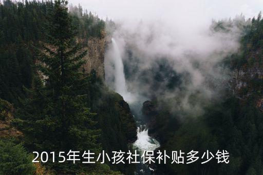 深圳二胎社保補助標(biāo)準(zhǔn)2015年，2015年生小孩社保補貼多少錢
