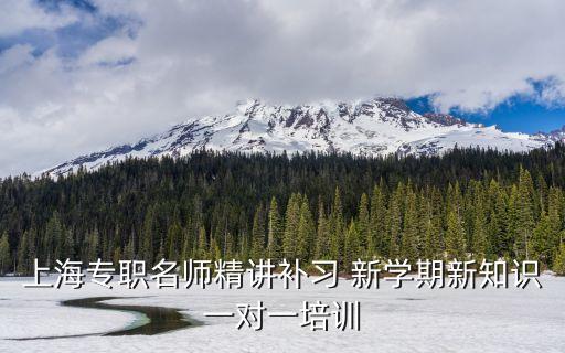上海專職名師精講補習 新學期新知識一對一培訓