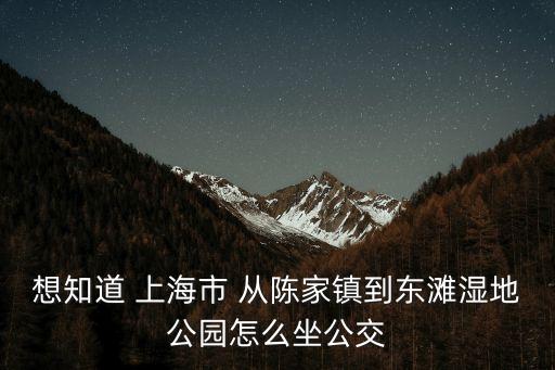 想知道 上海市 從陳家鎮到東灘濕地公園怎么坐公交