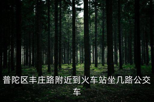 普陀區豐莊路附近到火車站坐幾路公交車
