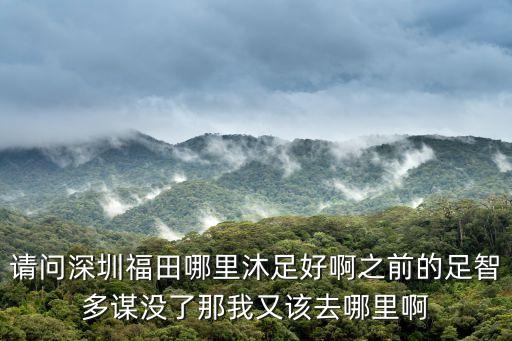 請問深圳福田哪里沐足好啊之前的足智多謀沒了那我又該去哪里啊