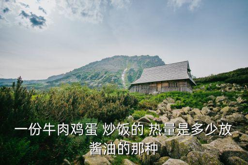 炒飯的熱量,一份牛肉雞蛋炒飯的熱量是多少?