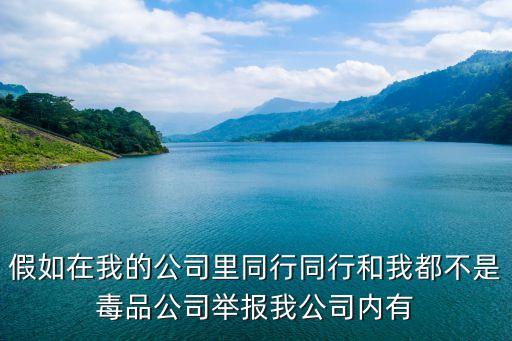 和深圳瑞捷同行的，假如在我的公司里同行同行和我都不是毒品公司舉報我公司內有