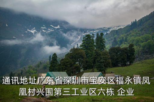 深圳聲聯(lián)網(wǎng)科技，深圳聲牙科技互聯(lián)網(wǎng)流量變現(xiàn)效果如何