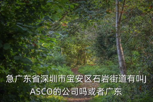 急廣東省深圳市寶安區(qū)石巖街道有叫JASCO的公司嗎或者廣東