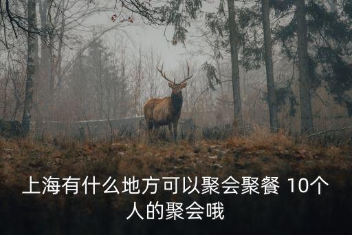 上海市公訓同學會，上海有什么地方可以聚會聚餐 10個人的聚會哦