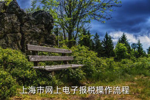 國家脫務總局上海市電子稅務，上海市網上電子報稅操作流程