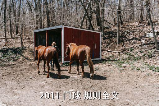 門球規則,老年人門球規則