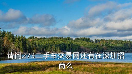 深圳二手車推廣，賣二手車商利潤有多少深圳一通二手車市場商家說只有2是真的嗎