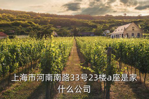上海市河南南路33號23樓a座是家什么公司