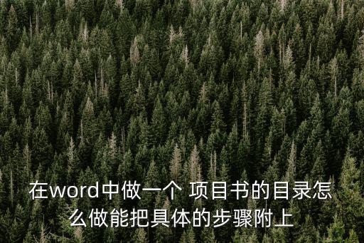 在word中做一個 項目書的目錄怎么做能把具體的步驟附上