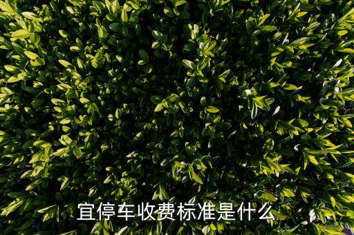 深圳宜停車覆蓋范圍，深圳龍崗金信諾周圍哪條路可以停車