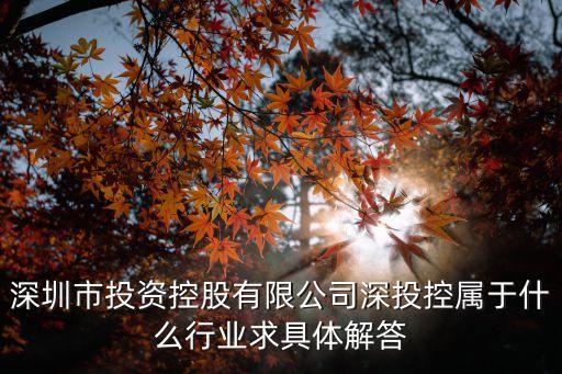 深圳市投資控股有限公司深投控屬于什么行業求具體解答