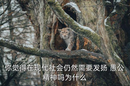 你覺(jué)得在現(xiàn)代社會(huì)仍然需要發(fā)揚(yáng) 愚公精神嗎為什么