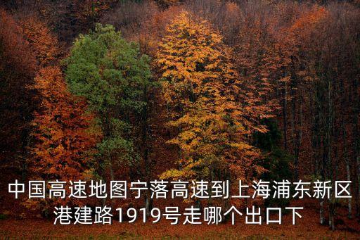 中國高速地圖寧落高速到上海浦東新區(qū)港建路1919號走哪個出口下