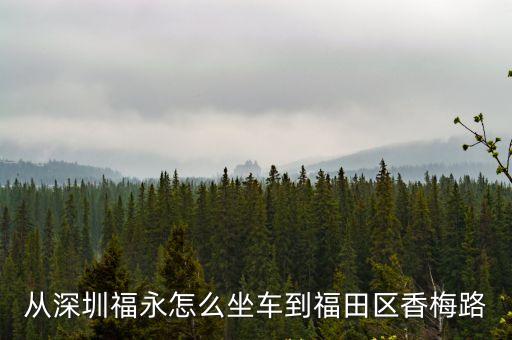 從深圳福永怎么坐車到福田區香梅路
