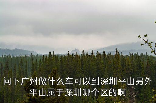 廣州南到深圳平山大巴，廣州南客運站到深圳平湖
