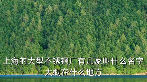 上海的大型不銹鋼廠有幾家叫什么名字大概在什么地方