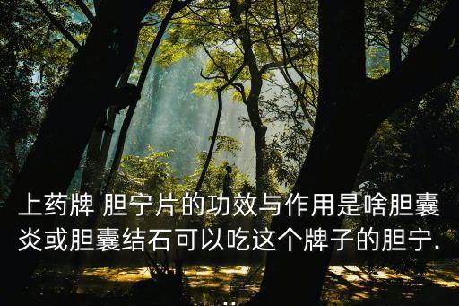 上藥牌 膽寧片的功效與作用是啥膽囊炎或膽囊結石可以吃這個牌子的膽寧...
