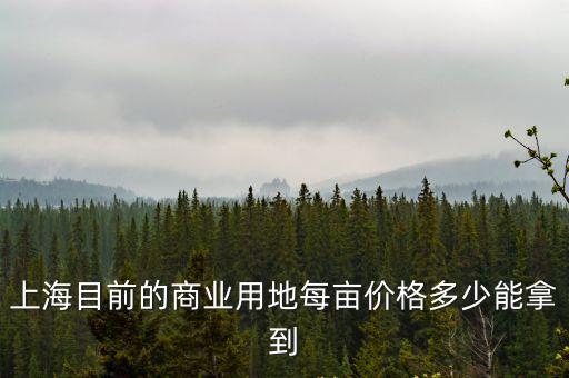 上海目前的商業(yè)用地每畝價(jià)格多少能拿到