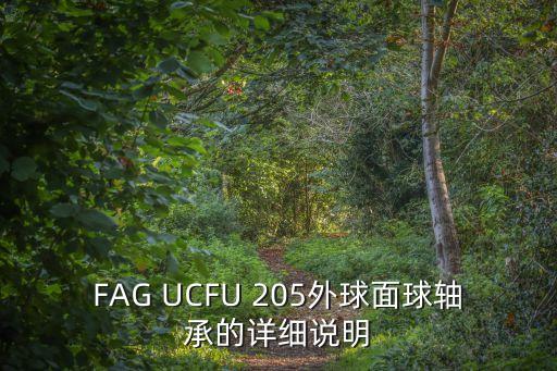 FAG UCFU 205外球面球軸承的詳細(xì)說(shuō)明