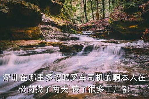 深圳在哪里多招聘叉車司機(jī)的啊本人在松崗找了兩天 轉(zhuǎn)了很多工廠都
