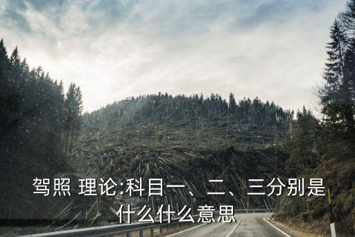  駕照 理論:科目一、二、三分別是什么什么意思