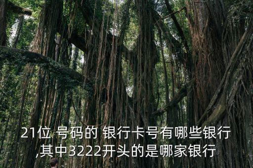 21位 號碼的 銀行卡號有哪些銀行,其中3222開頭的是哪家銀行