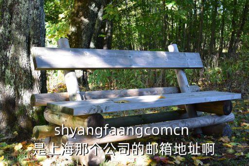shyangfaangcomcn 是上海那個(gè)公司的郵箱地址啊