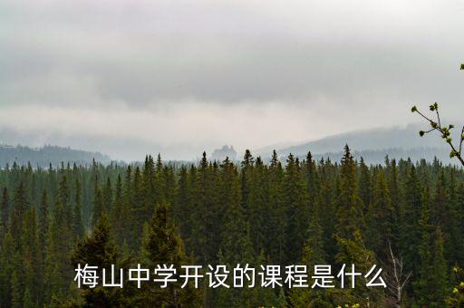 梅山中學開設的課程是什么