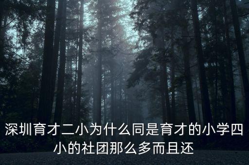 深圳育才二小為什么同是育才的小學四小的社團那么多而且還