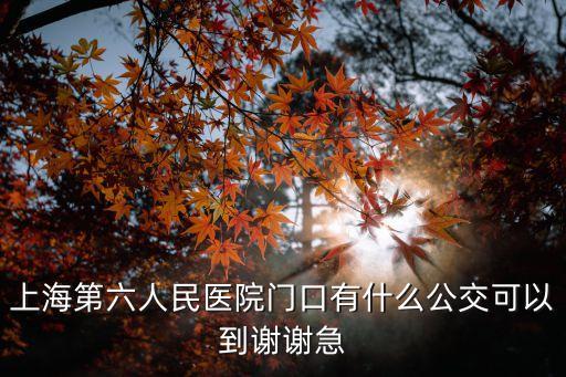 上海市第六人民醫院 交通，上海第六人民醫院門口有什么公交可以到謝謝急