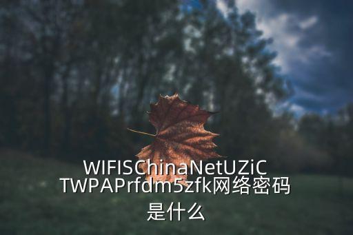 深圳圖書(shū)館 無(wú)線密碼，WIFISChinaNetUZiCTWPAPrfdm5zfk網(wǎng)絡(luò)密碼是什么