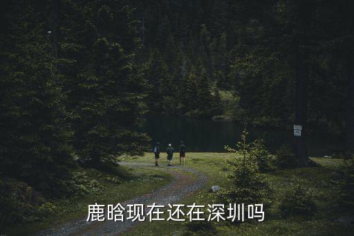 鹿晗現在還在深圳嗎