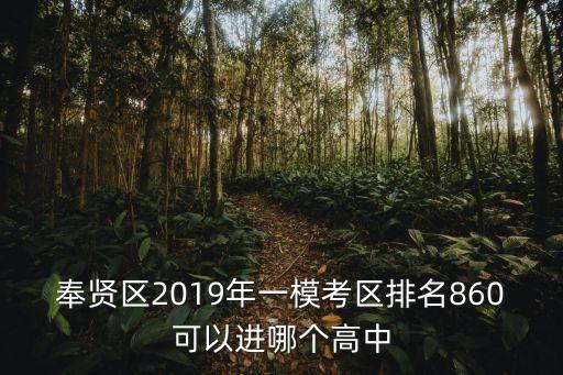 奉賢區2019年一模考區排名860可以進哪個高中