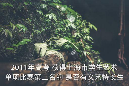 2011年高考 獲得上海市學生藝術單項比賽第二名的 是否有文藝特長生