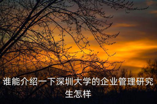 深圳大學土木劉軍，誰能介紹一下深圳大學的企業管理研究生怎樣