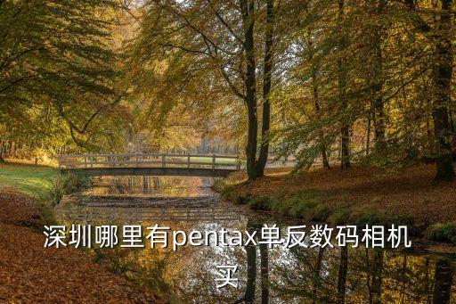 尼康典范店 深圳，深圳哪里有pentax單反數碼相機買