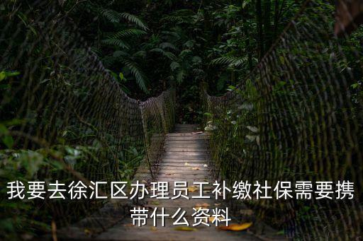 上海市補繳社保的代理機構有哪些資料，我要去徐匯區辦理員工補繳社保需要攜帶什么資料