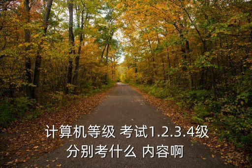  計算機等級 考試1.2.3.4級分別考什么 內容啊