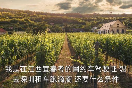 我是在江西宜春考的網約車駕駛證 想去深圳租車跑滴滴 還要什么條件