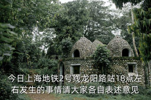 今日上海地鐵2號線龍陽路站18點左右發生的事情請大家各自表述意見